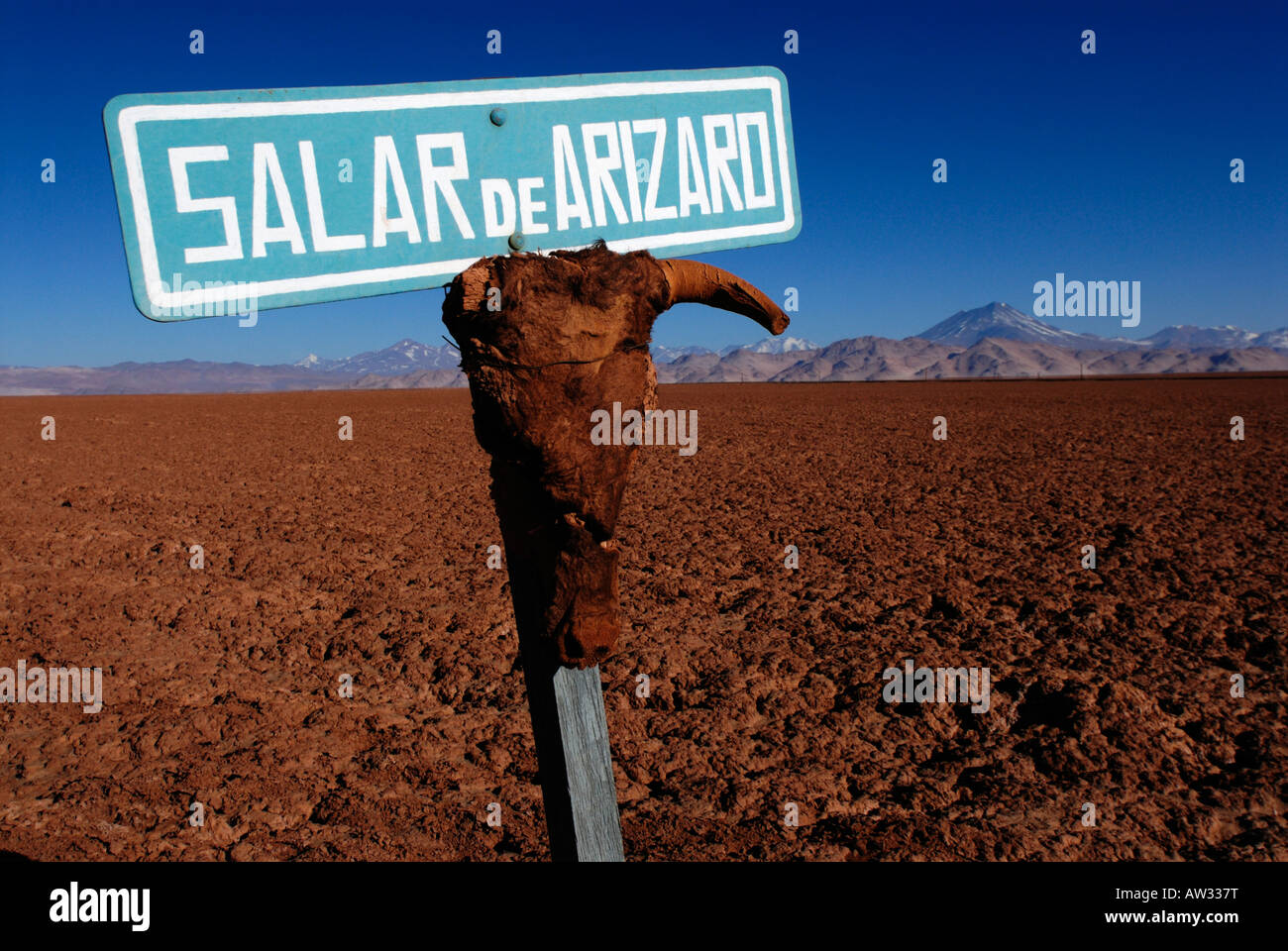 Salar de Arizaro, Tolar Grande, Provincia di Salta Argentina, Sud America Foto Stock