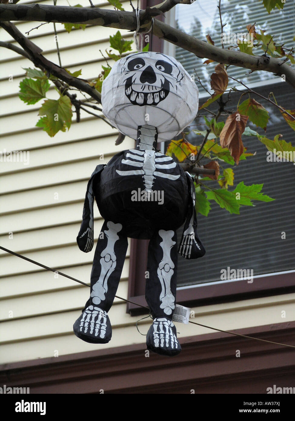La carta la figura di un uomo sceleton appeso nella struttura ad albero di halloween, STATI UNITI D'AMERICA, Brooklyn, New York Foto Stock