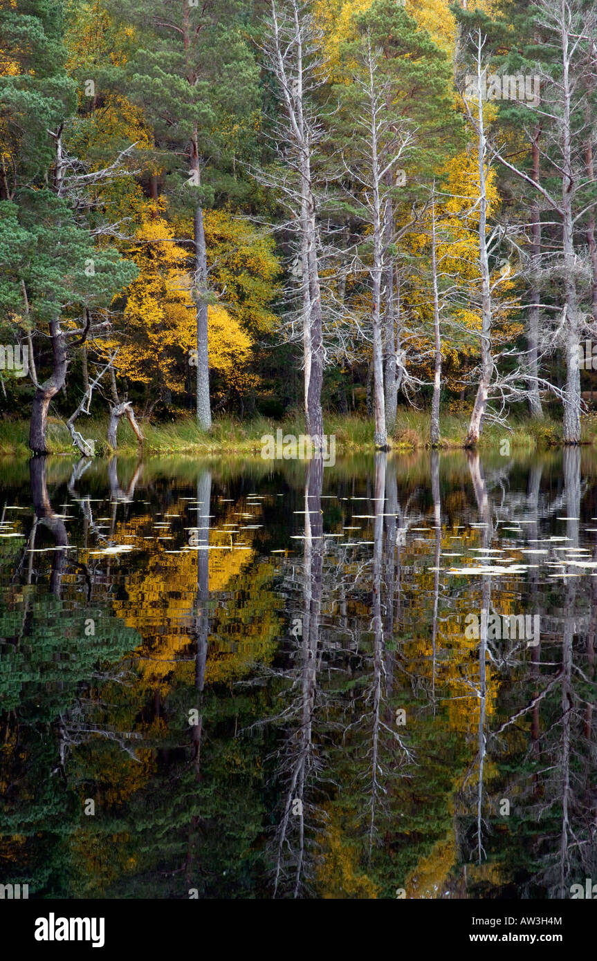 Uath lochan glenfeshie Cairngorms National Park Highlands della Scozia Foto Stock