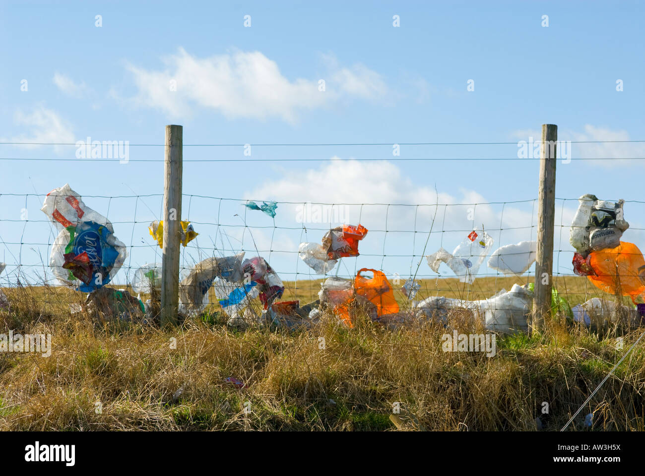 Wind-soffiato di sacchetti di plastica intrappolato in un recinto in Oxfordshire, Inghilterra Foto Stock