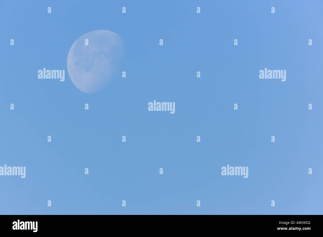 La luna contro il cielo blu welney norfolk Foto Stock