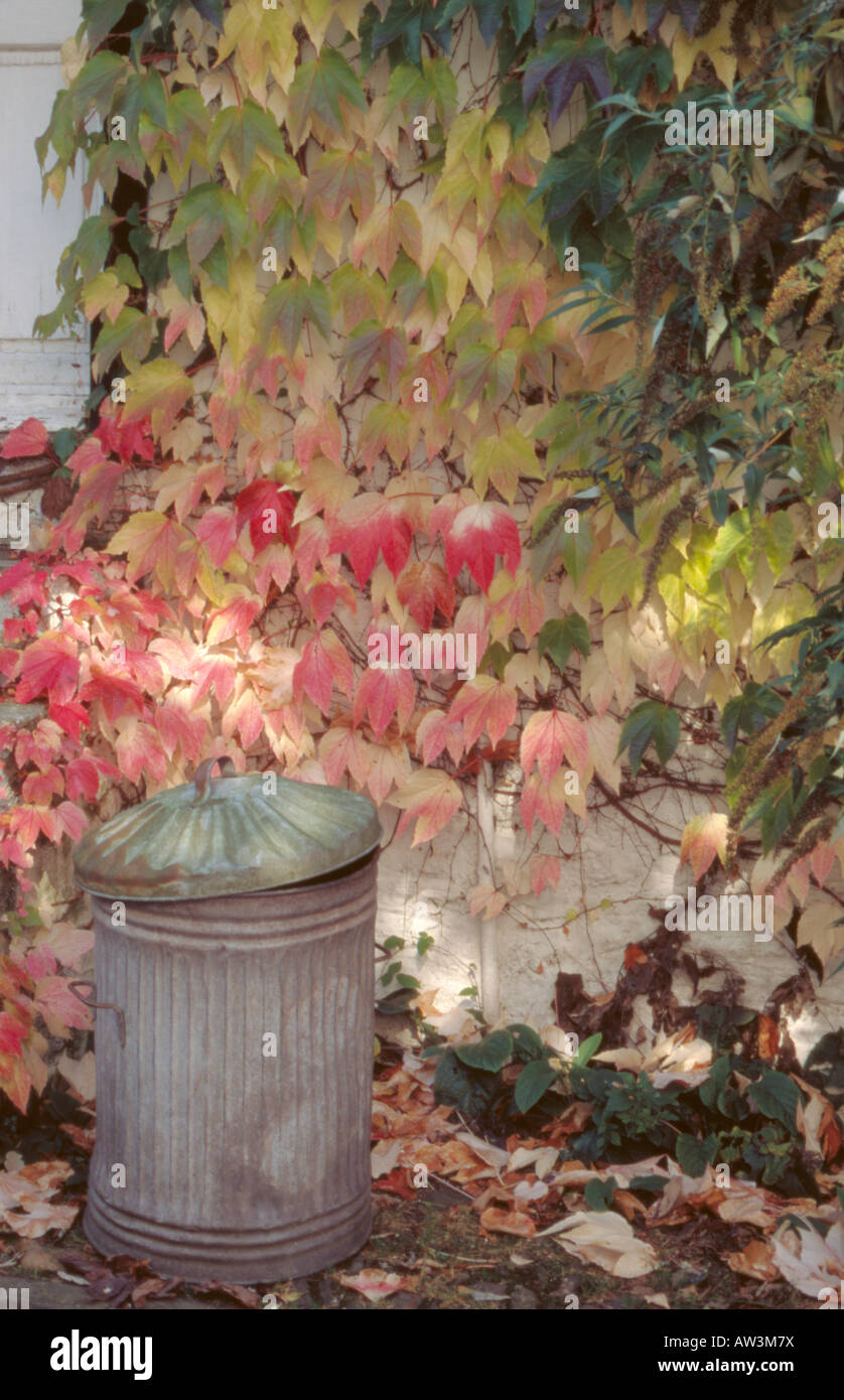 Bidone di metallo in un cortile, segala, Kent, Inghilterra, Regno Unito. Foto Stock