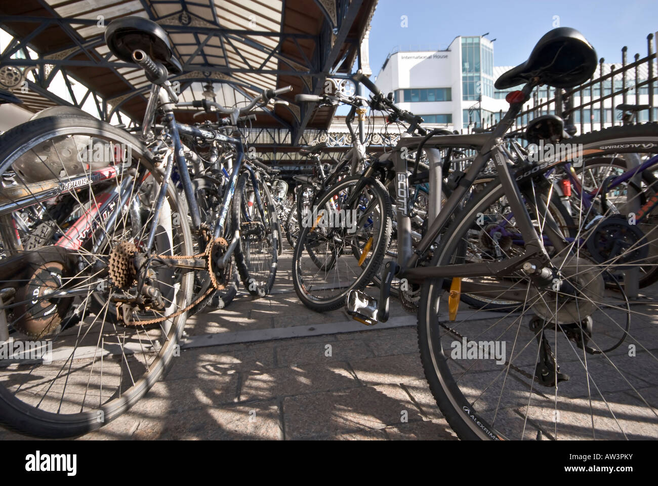 Molte Biciclette Biciclette parcheggiate Foto Stock