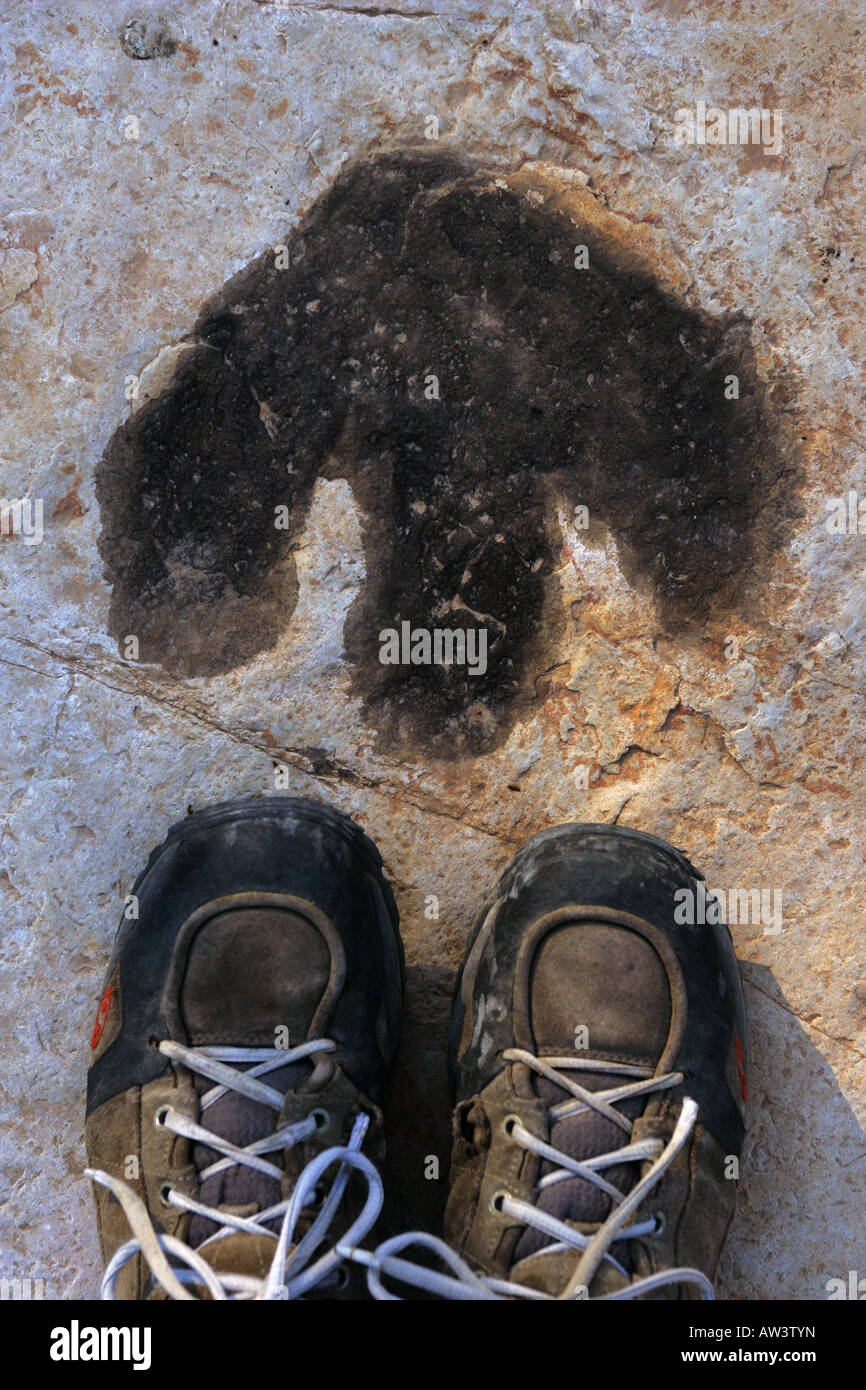 Footprint di dinosauri a Tambuc, Spagna. Foto Stock