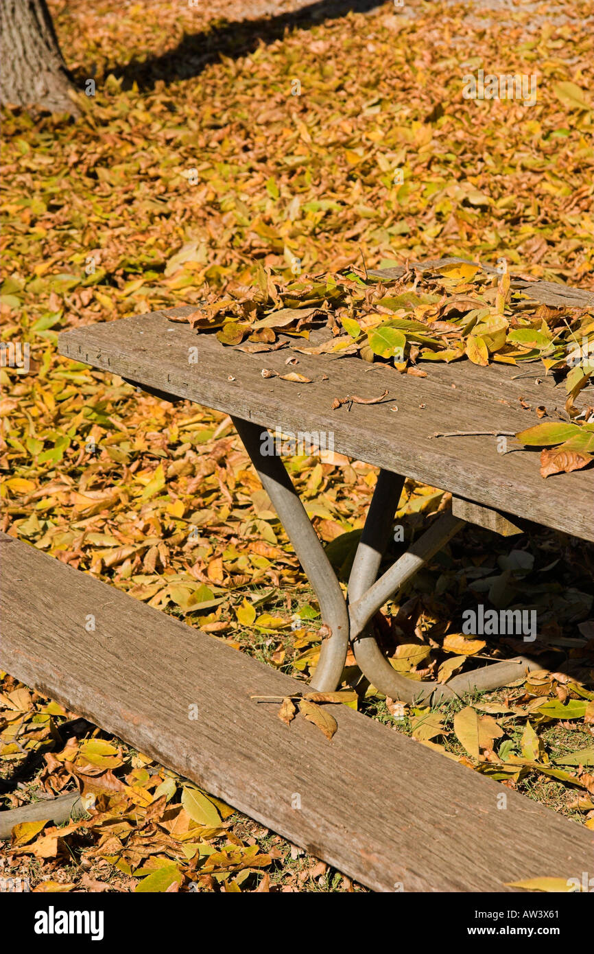 Tappetino Da Picnic Impermeabile Con Cintura Da Trasporto