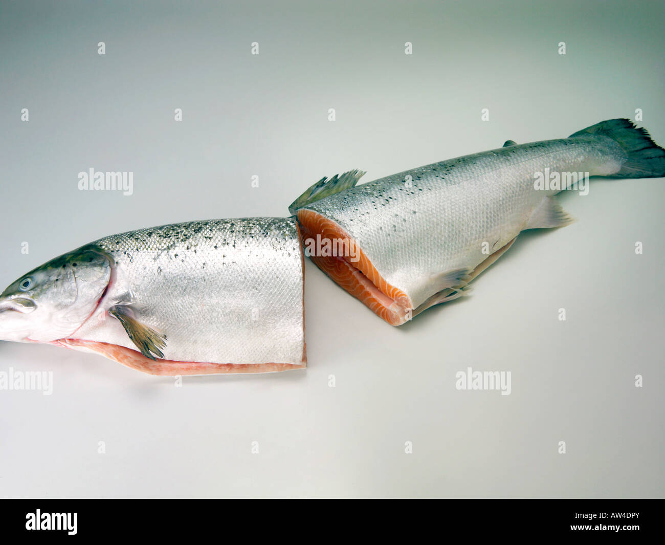 Salmone in metà Foto Stock