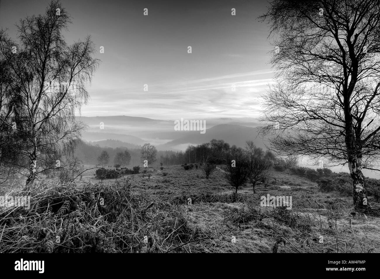 Sunrise vicino a Leigh Tor su Dartmoor con nebbia riempie la valle al di là monocromatico Foto Stock