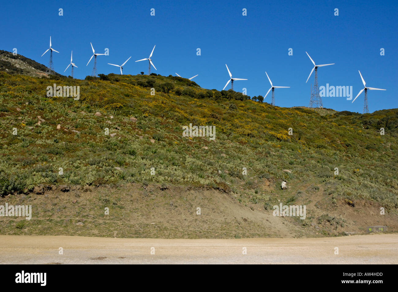 Campo di mulini a vento la turbina di potenza vicino a tarifa Foto Stock