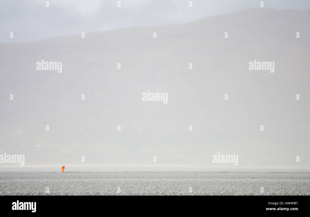 Il Cockle Winkle picker sul Corran Sheileboist Harris Western Isles Ebridi Esterne Foto Stock