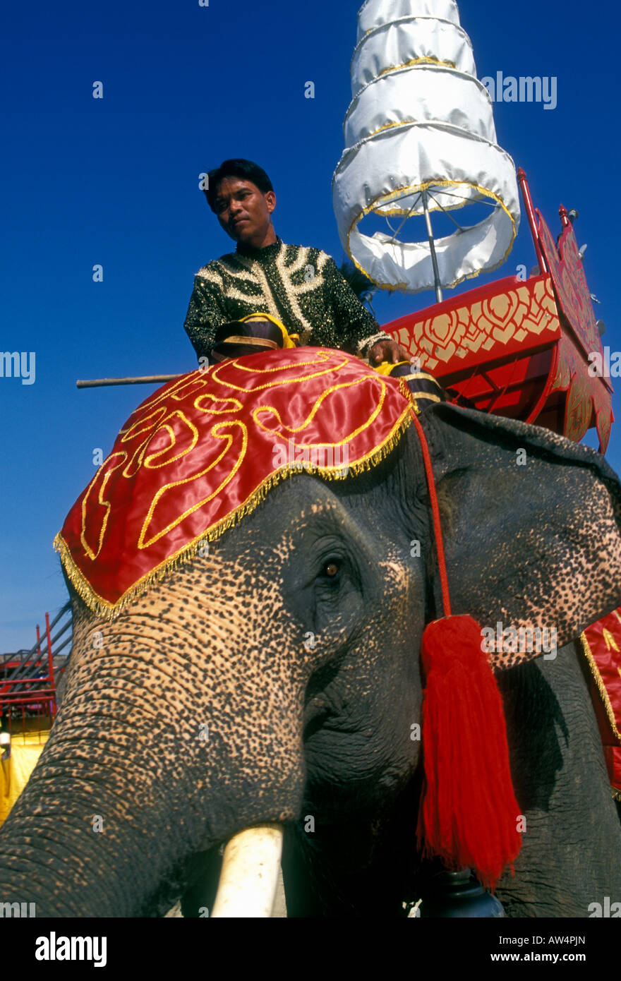 Rievocazione storica, scena di battaglia, epico dramma, elefante visualizza, Samphran Elephant Terra e Zoo, Nakhon Pathom, provincia di Nakhon Pathom, Thailandia, Asia Foto Stock