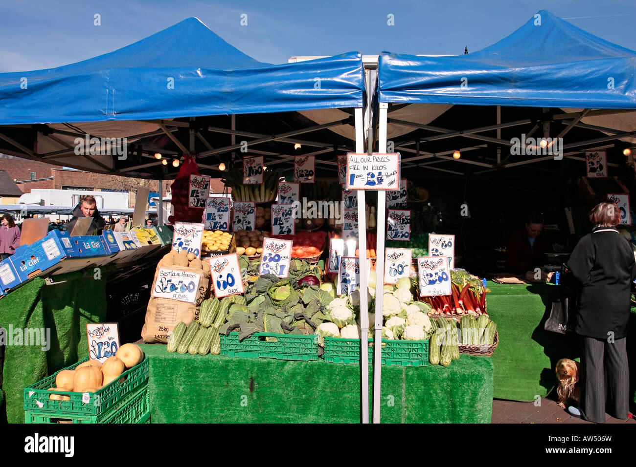 Le verdure sul display sul mercato inglese in stallo Chichester West Sussex, in Inghilterra Foto Stock