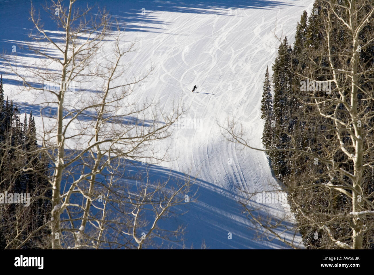 Lost Boy ski run a Vail Colorado Foto Stock