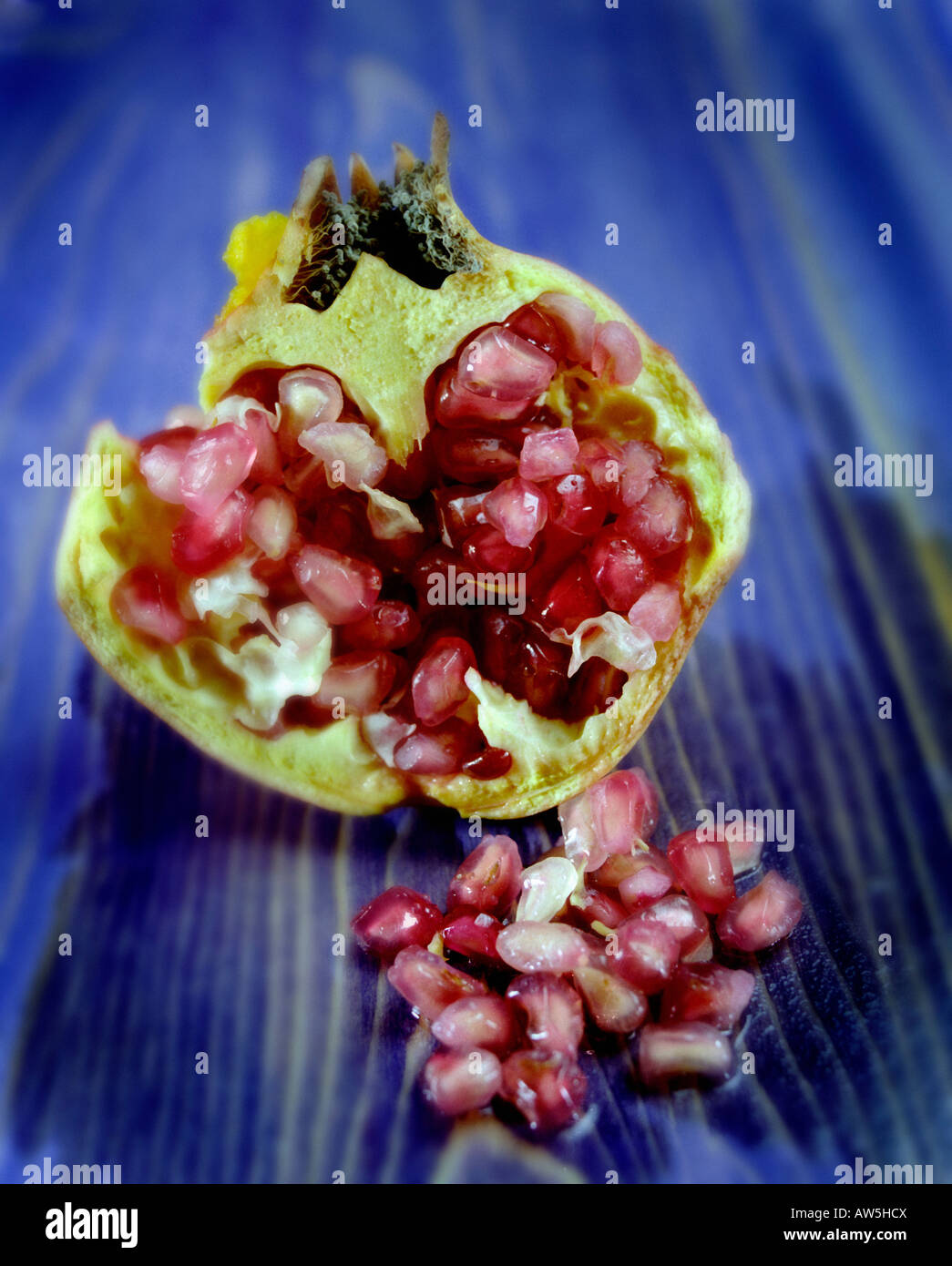 Aprire mature melograno con i semi fuoriuscita Foto Stock