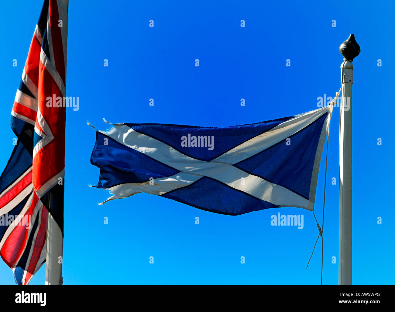Il St Andrews bandiera della Scozia sventola nel vincere accanto a un'Unione Bandiera della Gran Bretagna. Foto Stock