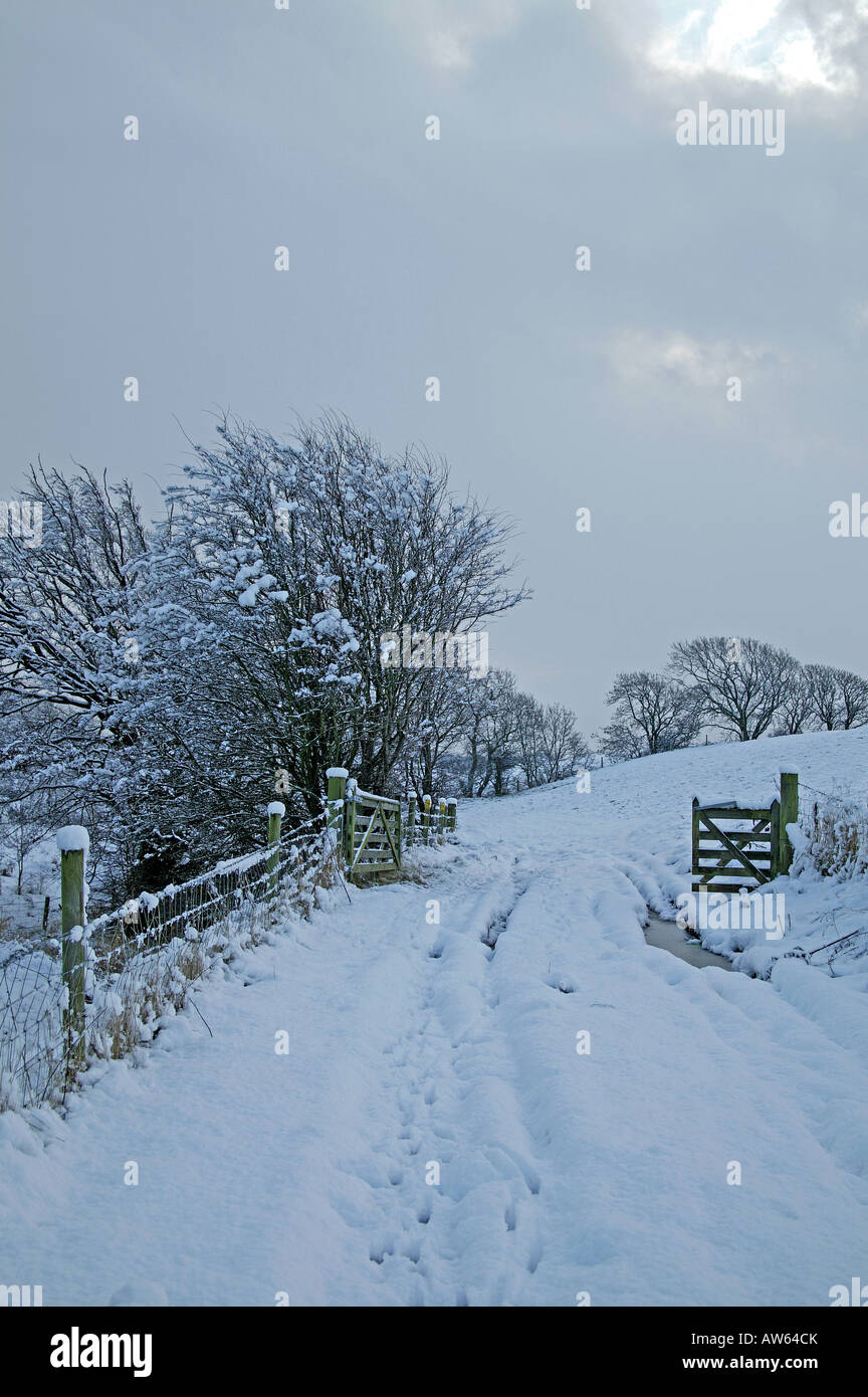 Il percorso che conduce alla porta in una coperta di neve campo delimitato da alberi decidious Foto Stock