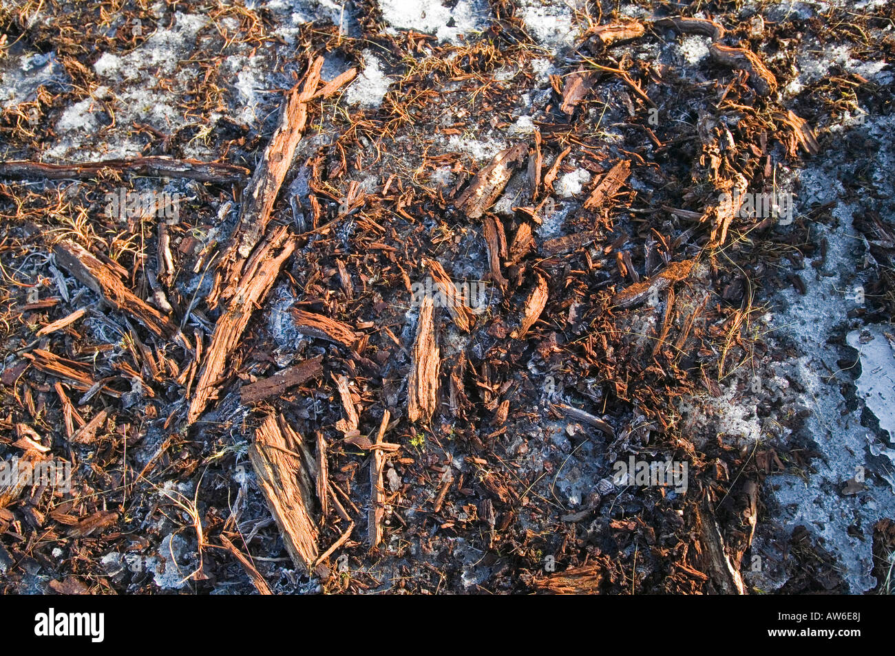 I depositi di torba a 1800 piedi su acciaio cadde nel distretto del lago,con conserva di bosco di depositi in essi da tempi più caldi Foto Stock