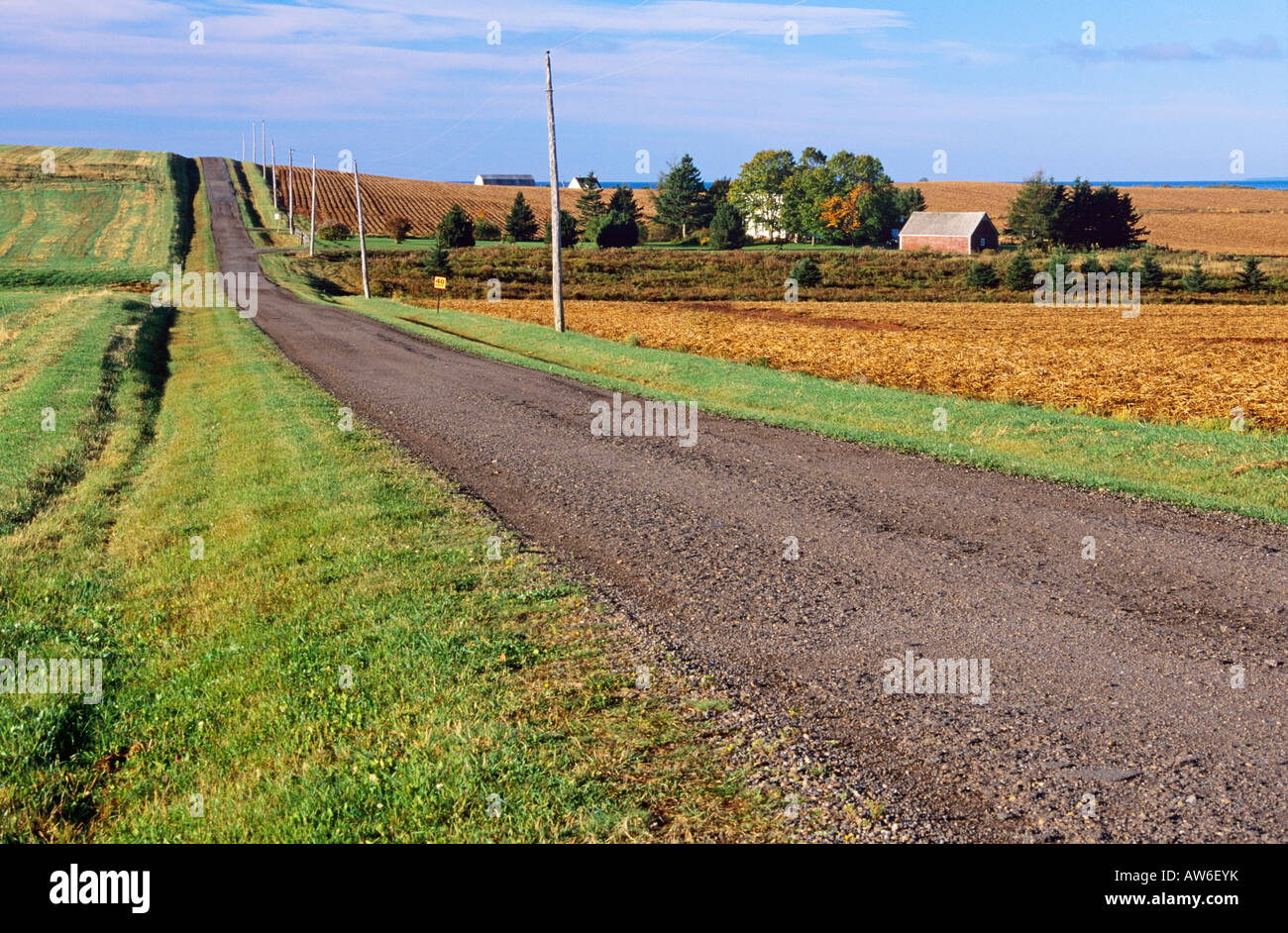 Strada rurale lungo le aziende agricole in Hampton, Prince Edward Island, Canada Foto Stock
