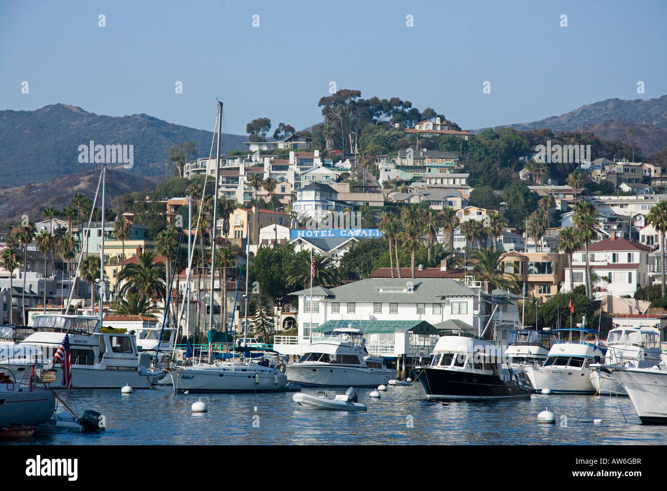 In un giorno di estate barche riempire Avalon Harbour sulla isola Catalina off California, Stati Uniti d'America. Foto Stock