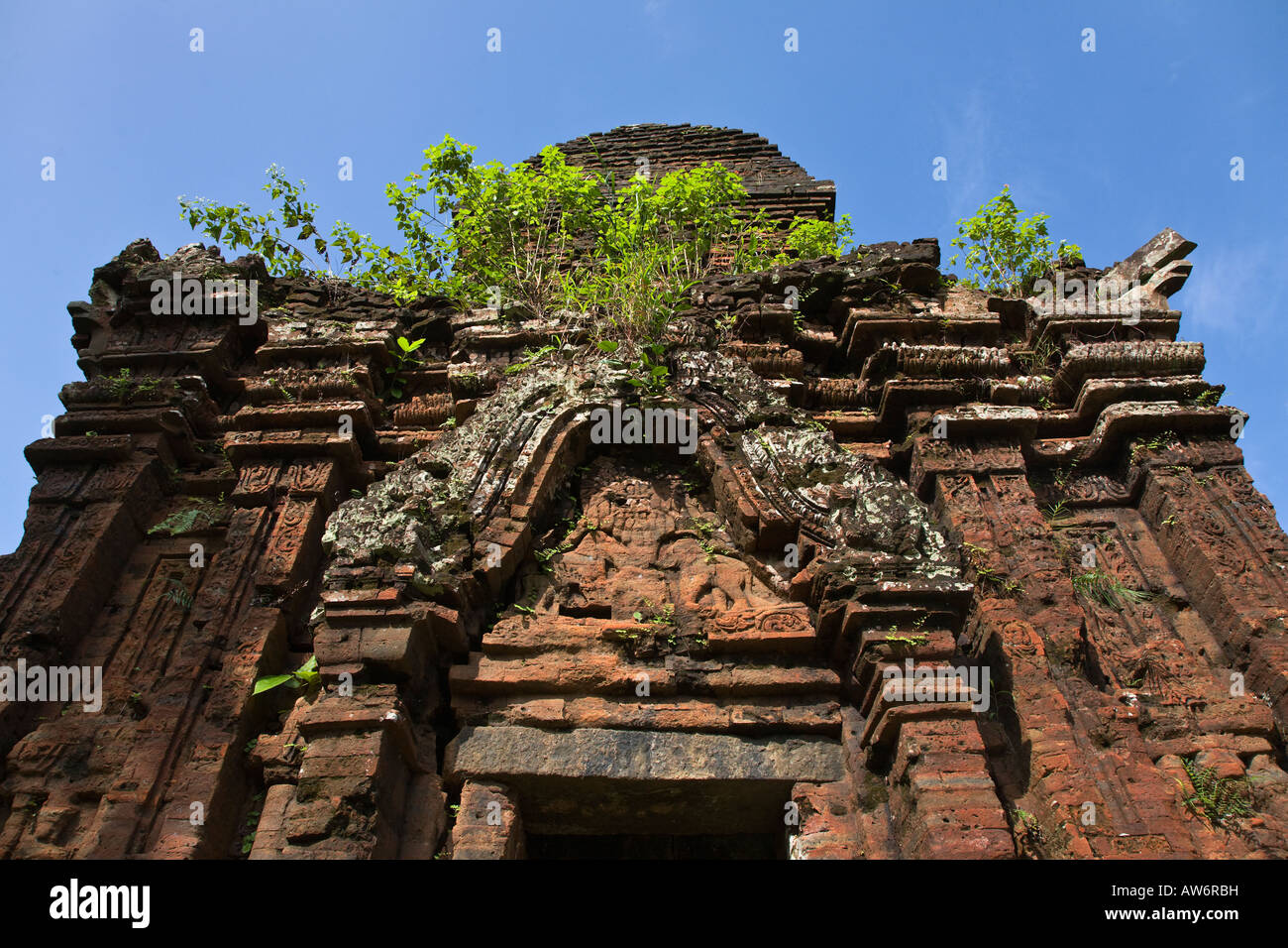 Le piante germogliano dalla sommità del II secolo il mio figlio rovine VIETNAM CENTRALE Foto Stock