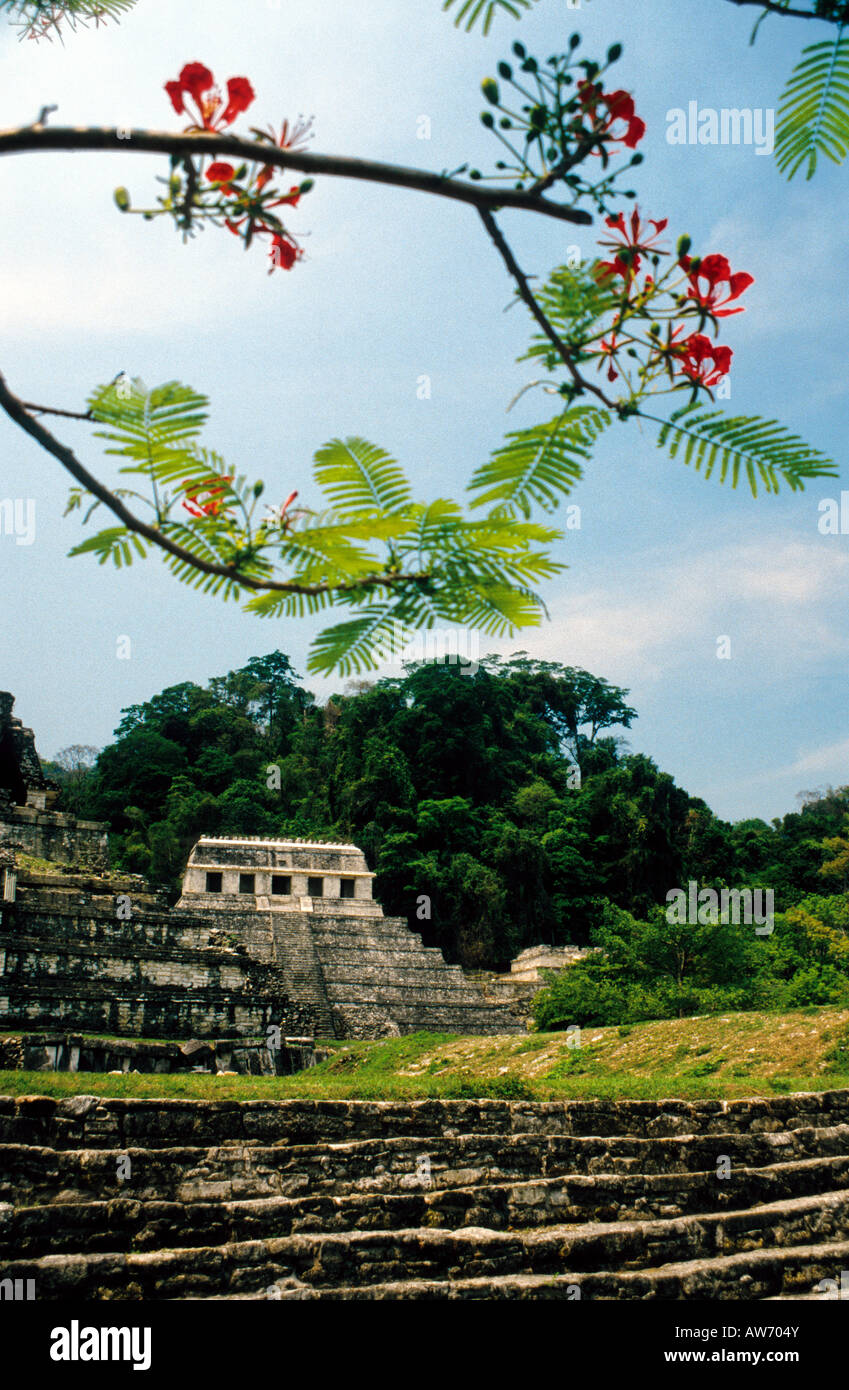 Tempio di iscrizioni, Palenque, Chiapas, Messico Foto Stock