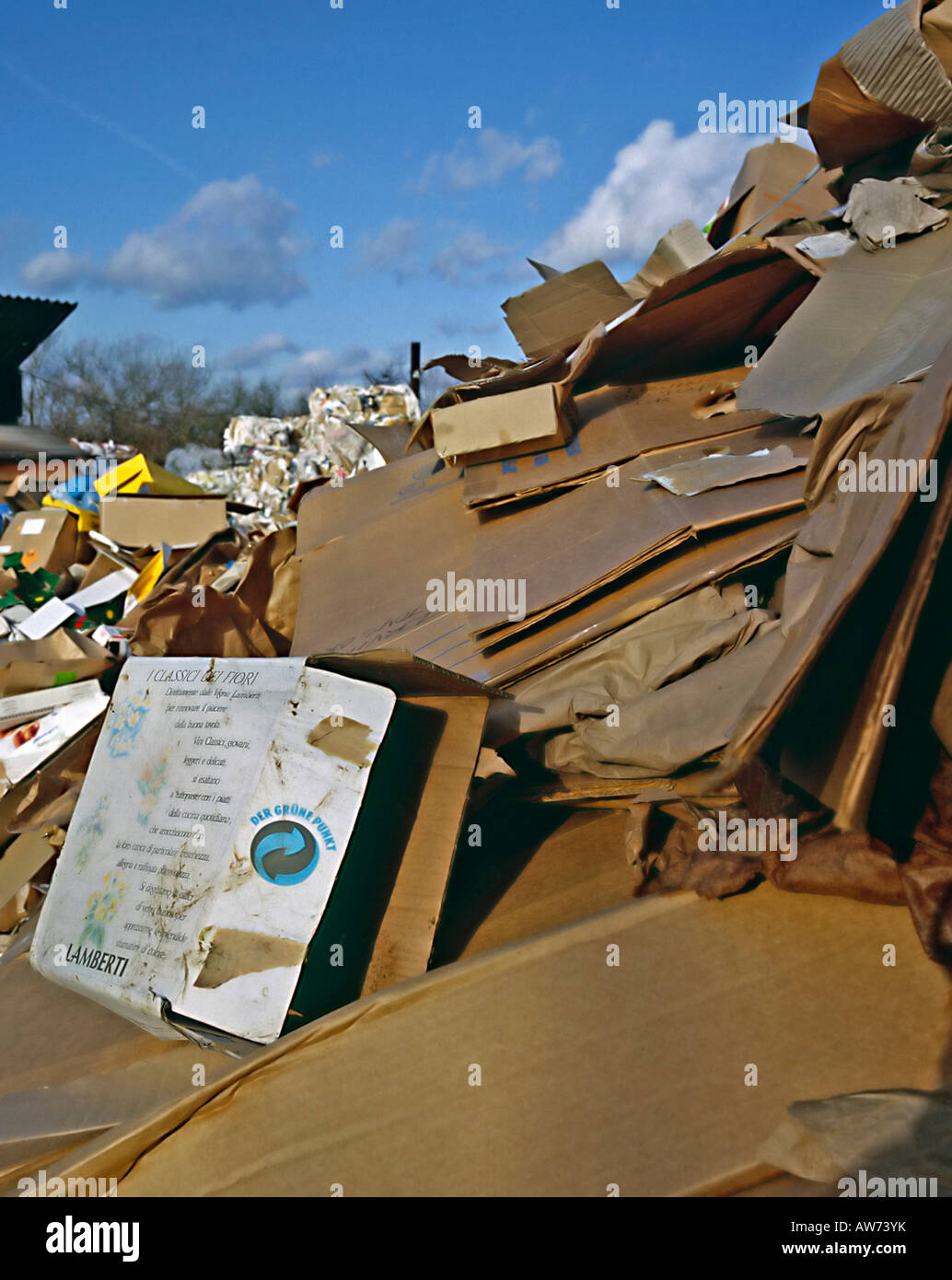 Il riciclo della carta la raccolta punti per area bonificata di carta straccia in Hesse in Germania Foto Stock
