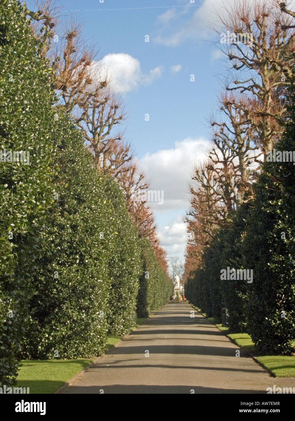 Viale alberato, Grosvenor Park, Chester Foto Stock