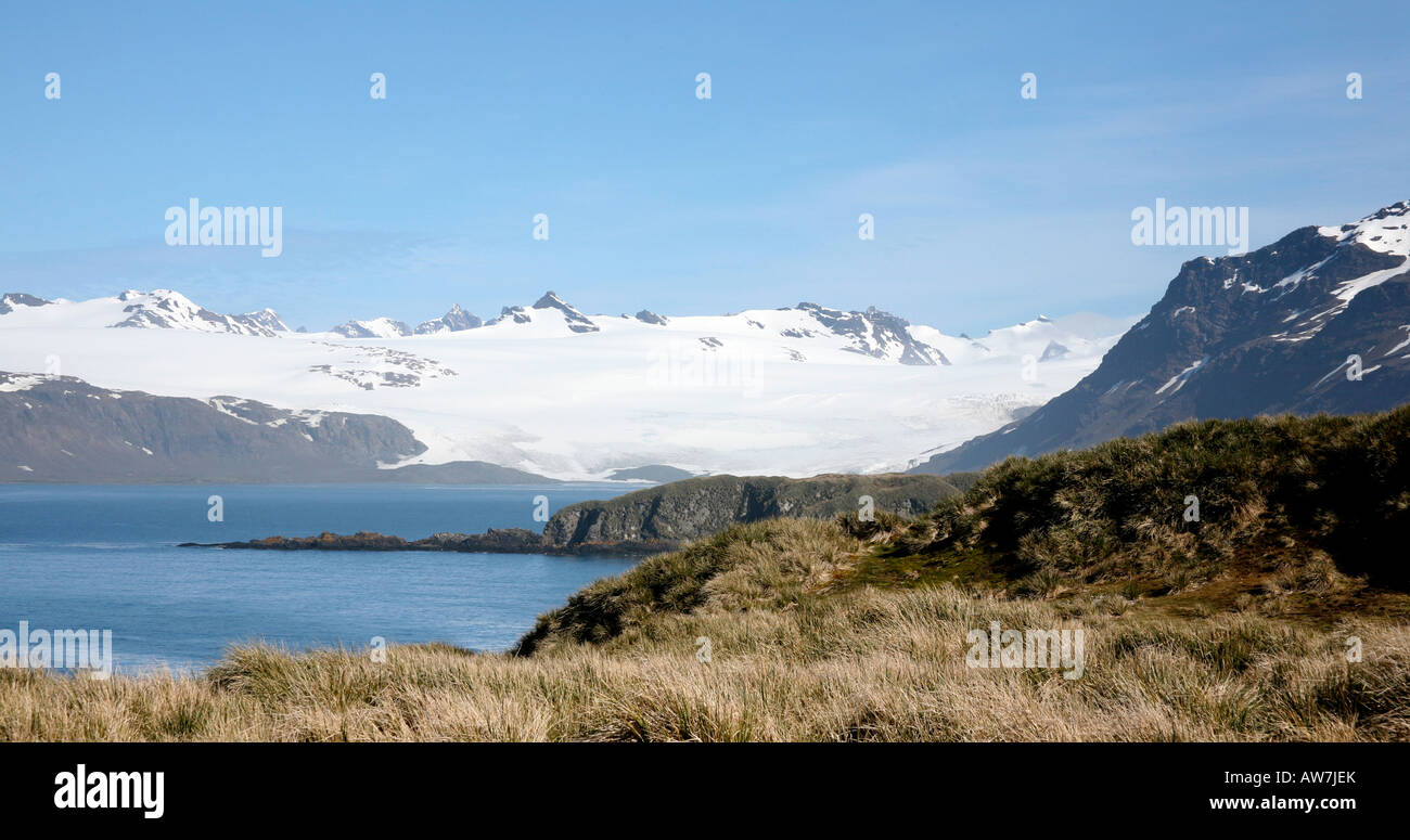 Vista panoramica sull'isola della Georgia del Sud, è una piccola isola vicino a Antartide Foto Stock