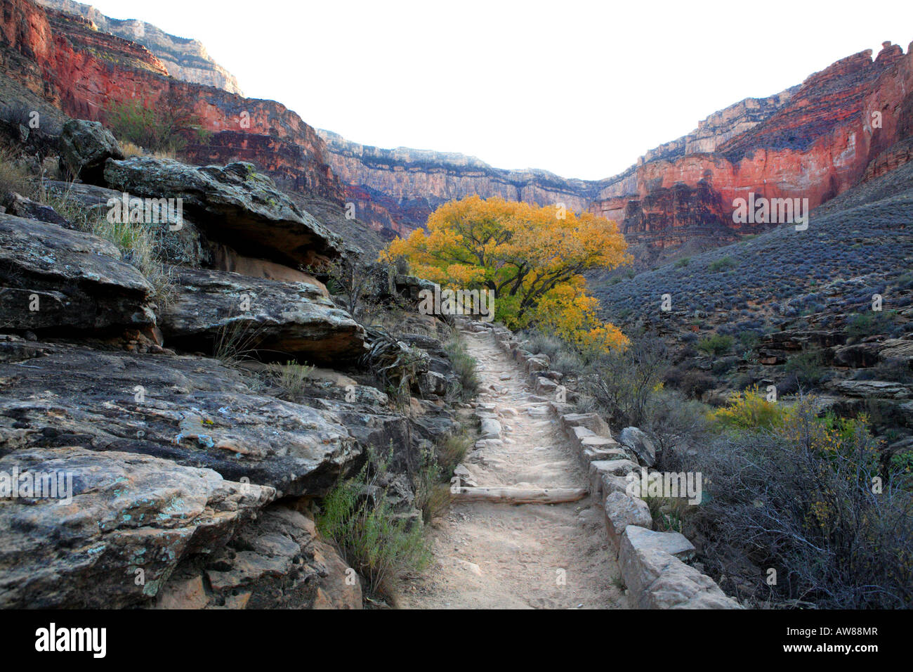 Il Bright Angel trail vicino giardino indiano nel tardo autunno NEL PARCO NAZIONALE DEL GRAND CANYON ARIZONA USA Foto Stock