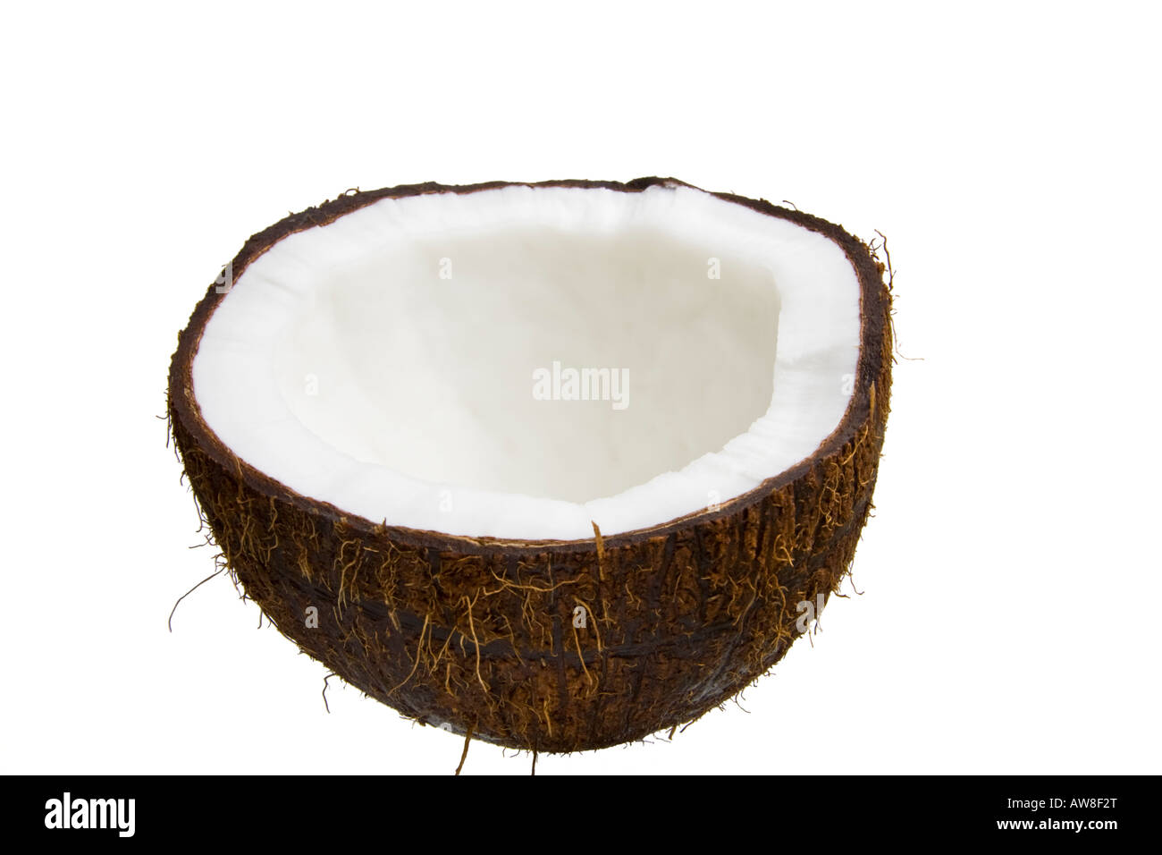 Noce di cocco Foto Stock