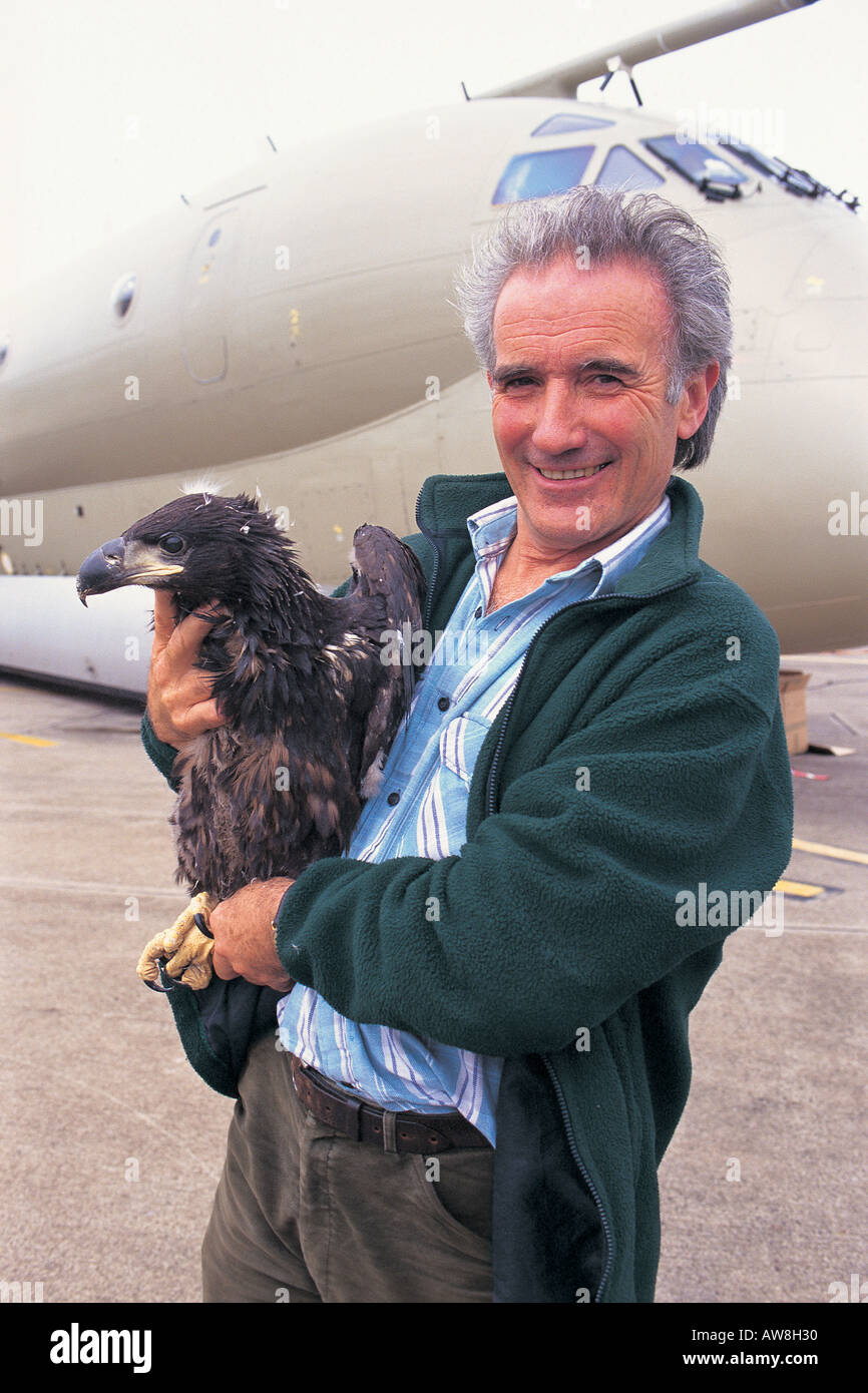 Roy Dennis con i capretti white tailed eagle Haliaeetus albicilla a RAF Kinloss 1999 Foto Stock