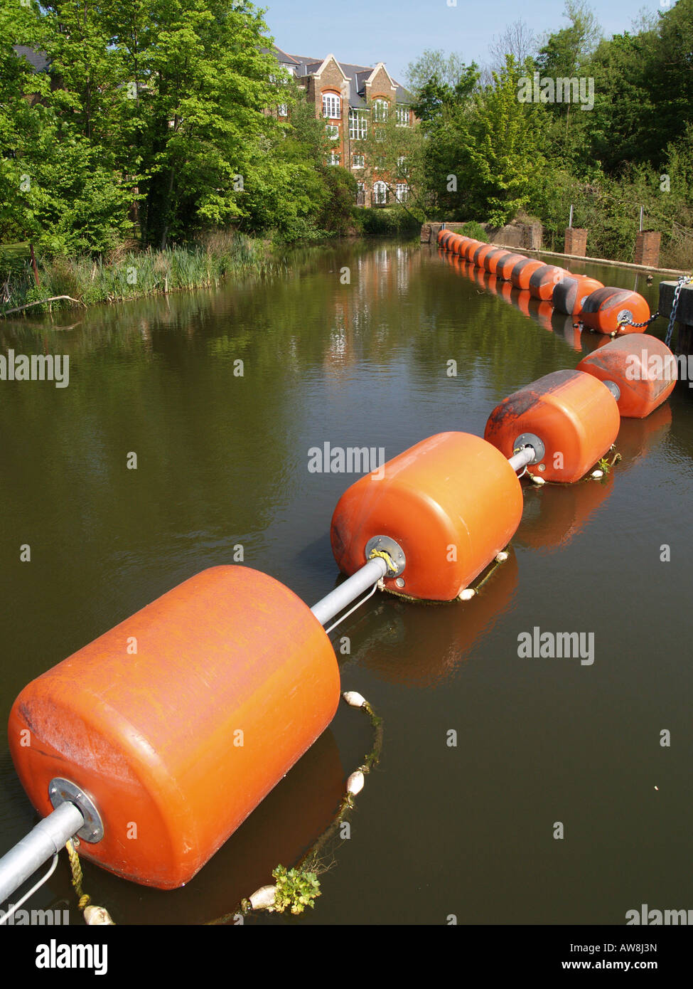 Spia arancione boe ri naviganti alberi acqua liscia Foto Stock