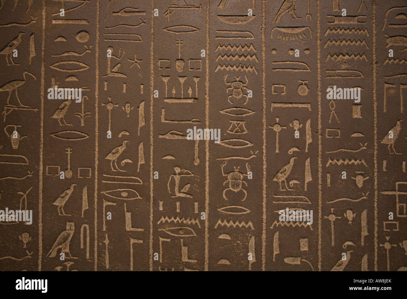 Geroglifici su un sarcofago nel British Museum a Londra Foto Stock