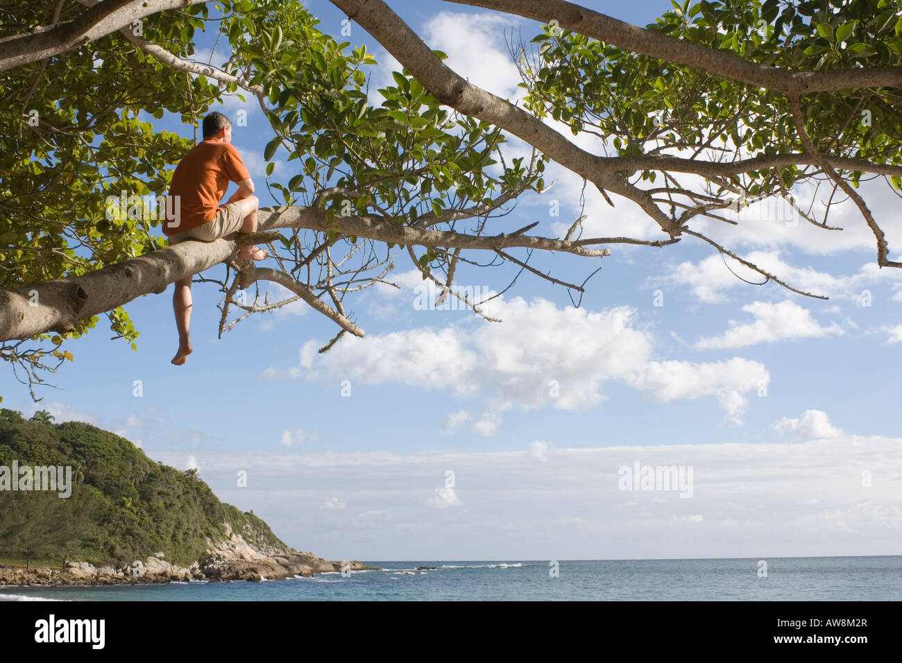 Uomo seduto in un albero contemplando il mare su una spiaggia tropicale Foto Stock