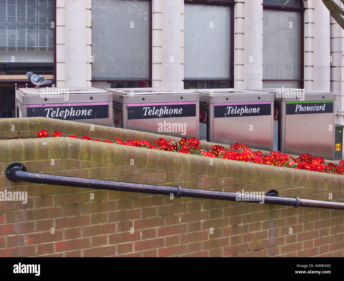 Fila di cassette telefoniche pubbliche nel centro di Worthing. West Sussex, Inghilterra, Regno Unito Foto Stock