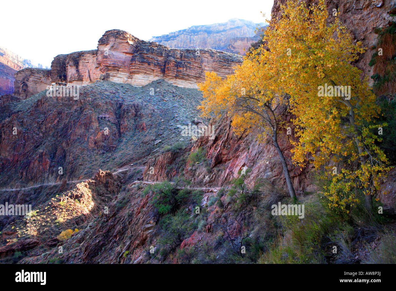 Il Bright Angel TRAIL TRA GIARDINO INDIANO E DEVIL S cavatappi nel tardo autunno NEL PARCO NAZIONALE DEL GRAND CANYON ARIZONA USA Foto Stock
