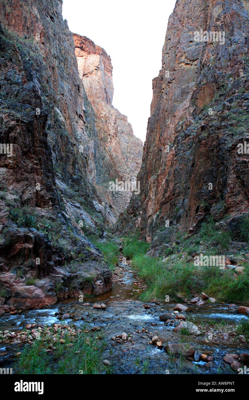 La confluenza di Bright Angel e insenature fantasma da NORTH KAIBAB TRAIL nella gola interna noto come casella di sopra PHANTOM RANCH IN G Foto Stock