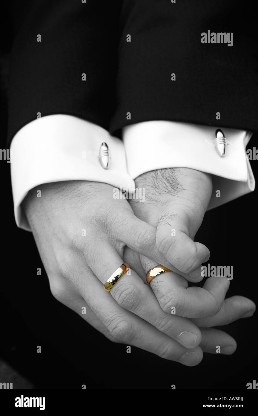 Gli uomini si stringono la mano in corrispondenza di una loro partenariato civile Foto Stock