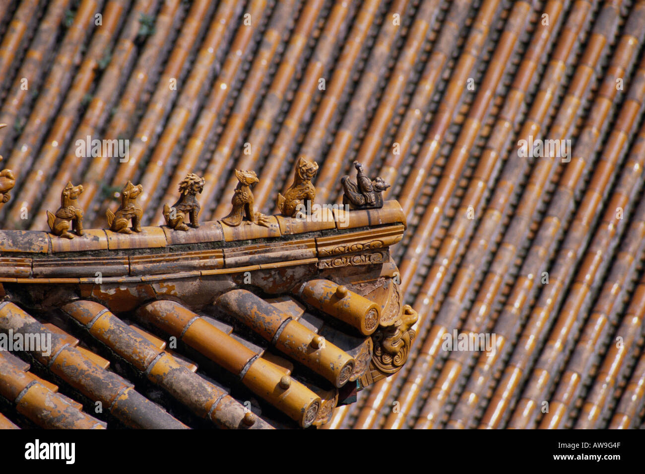 Costruzione di dettaglio a Xian, Cina Foto Stock