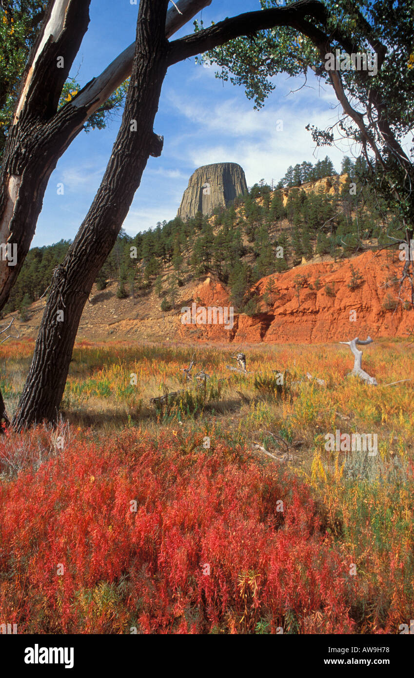 Devils Tower Devils Tower National Monument Wyoming Foto Stock