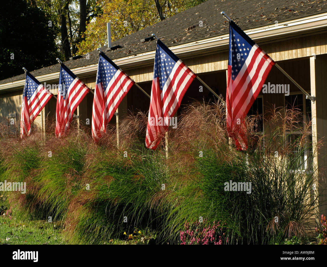 Display patriottica di bandierine americane. Foto Stock
