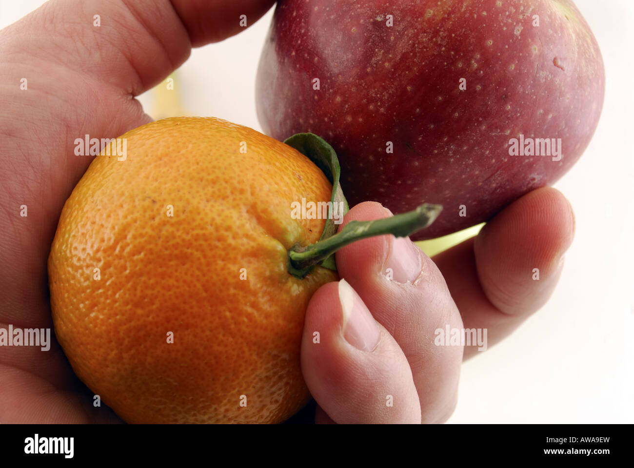 a dare i suoi frutti Foto Stock