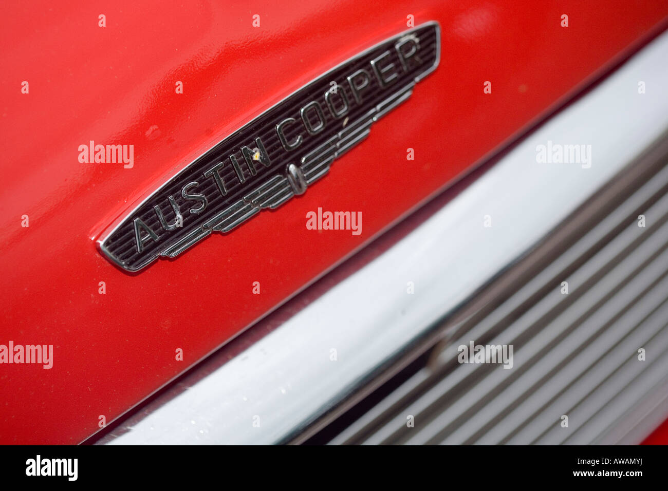 Naso di Austin auto Cooper Foto Stock