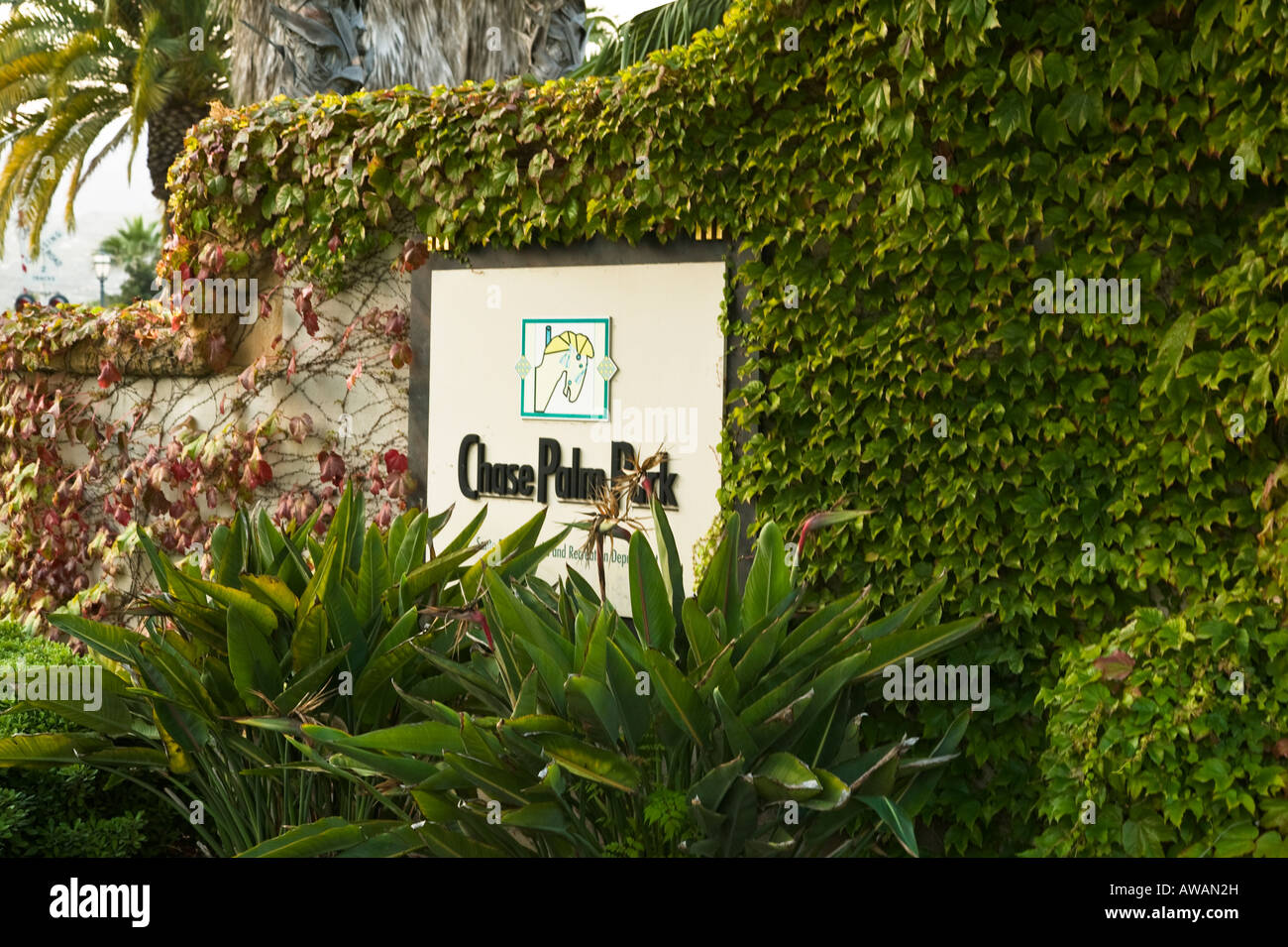 Chace Palm Park, Santa Barbara, California, Stati Uniti d'America Foto Stock