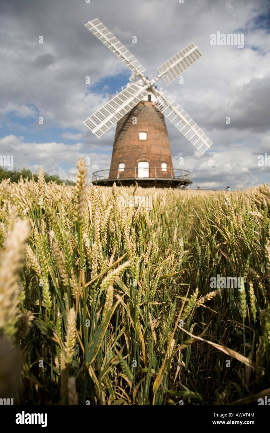 Villaggio di Thaxted in Essex, Inghilterra meridionale, Luglio 2007 Foto Stock