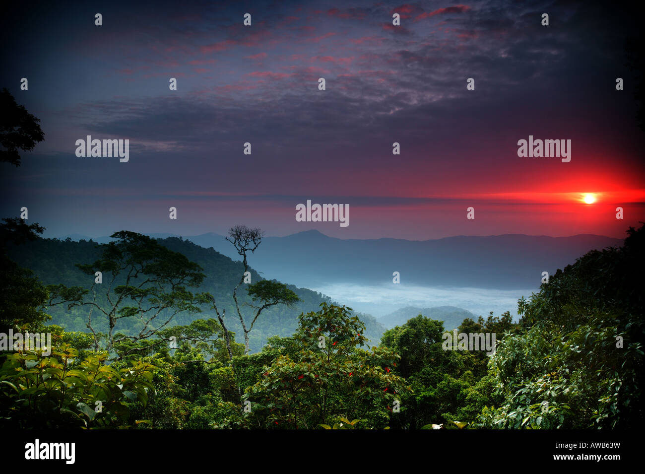 Paesaggio di Panama con l'alba vista da Cerro Pirre nella lussureggiante foresta pluviale del parco nazionale di Darien, Darien Gap, provincia di Darien, Repubblica di Panama. Foto Stock