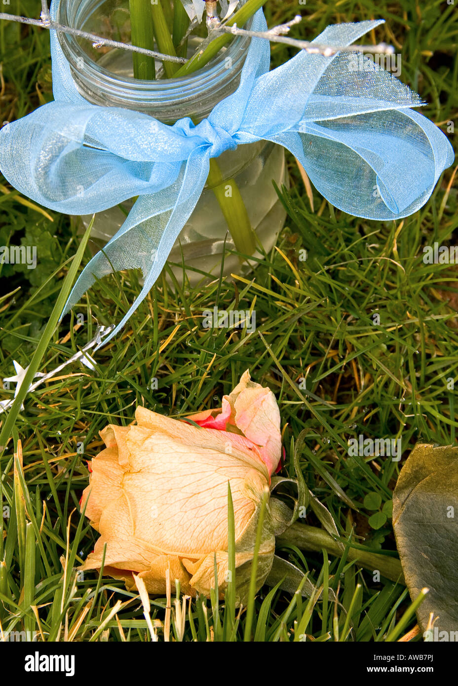 Rose e vaso di acqua a grave Foto Stock