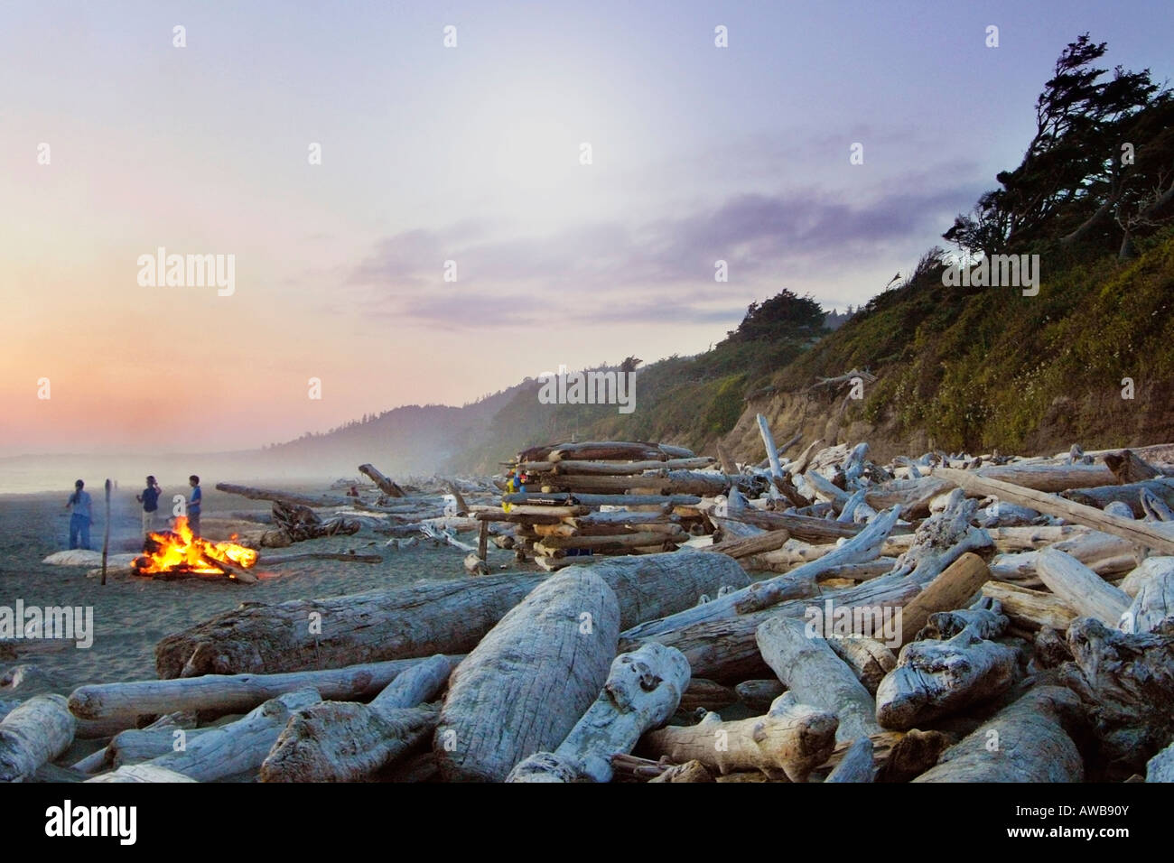 Kalaloch Beach con il fuoco, il Parco Nazionale di Olympic, Washington Foto Stock