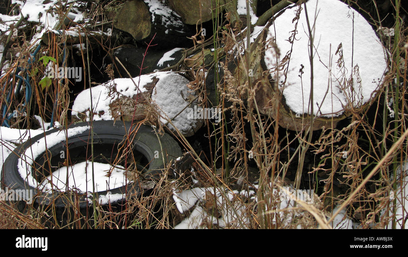 Devastazione distruzione distruzione natura tronchi di tronchi di alberi pneumatici molti ecologia del legno ambiente americano Stati Uniti hi-res Foto Stock