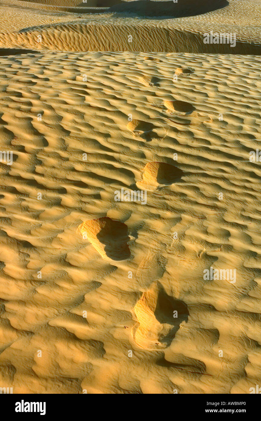 Impronte in dune di sabbia nel deserto del Sahara, nei pressi dell'oasi di Ksar Ghilane, Tunisia. Foto Stock