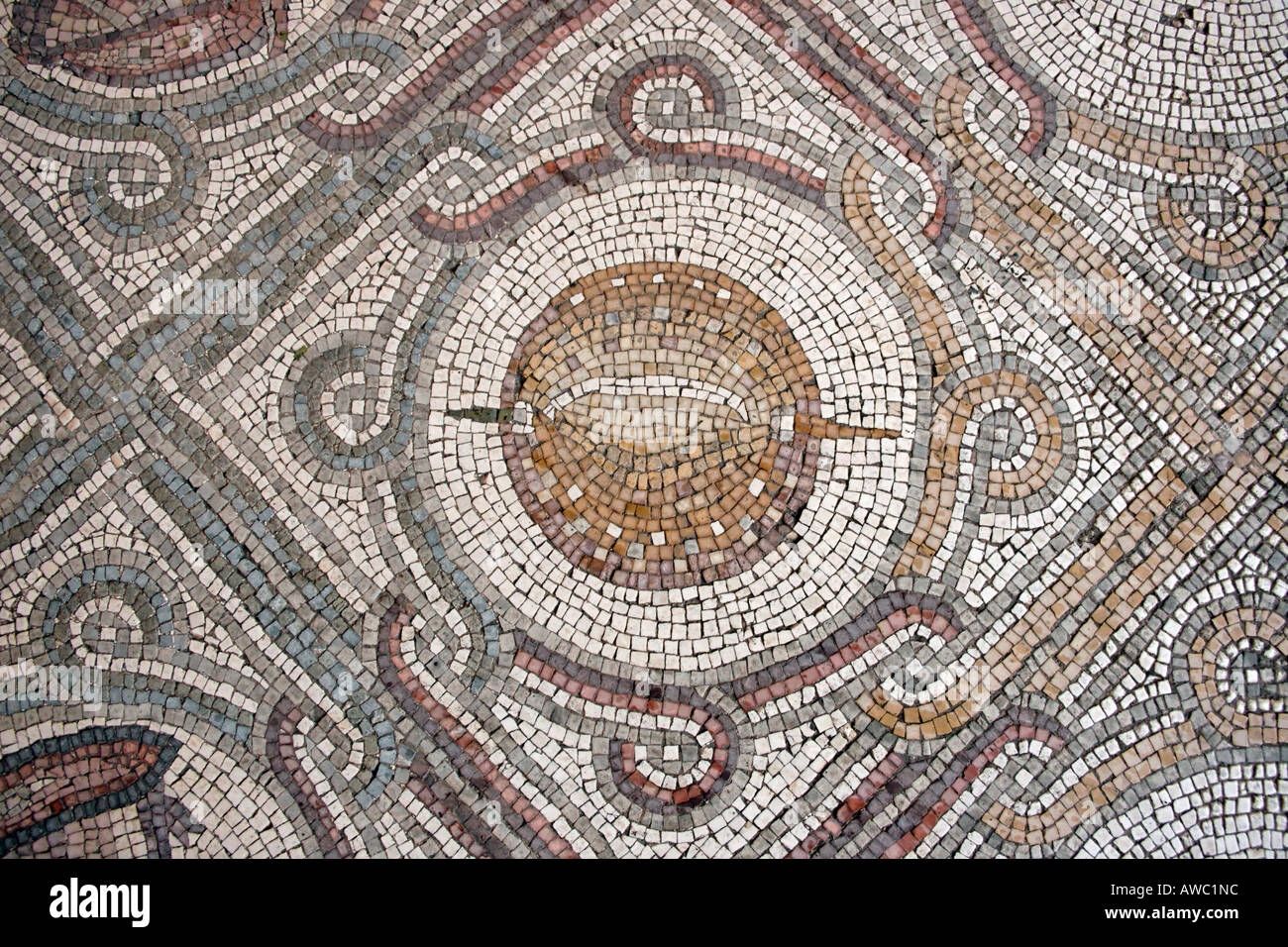 Gerusalemme Israele il v secolo mosaico bizantino presso la chiesa di Dominus Flevit sul Monte degli Ulivi Foto Stock